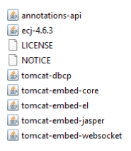 Tomcat files